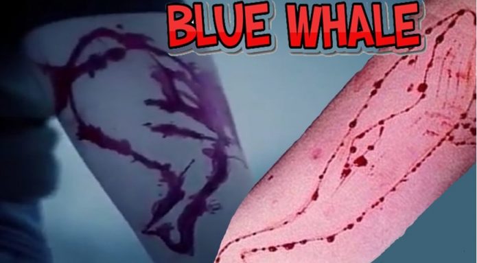 Moral Panic and the Blue Whale Challenge - Tom Liberman