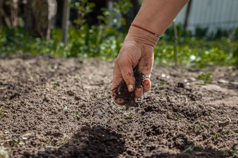 Why is Human Composting Illegal in the First Place? - Tom Liberman